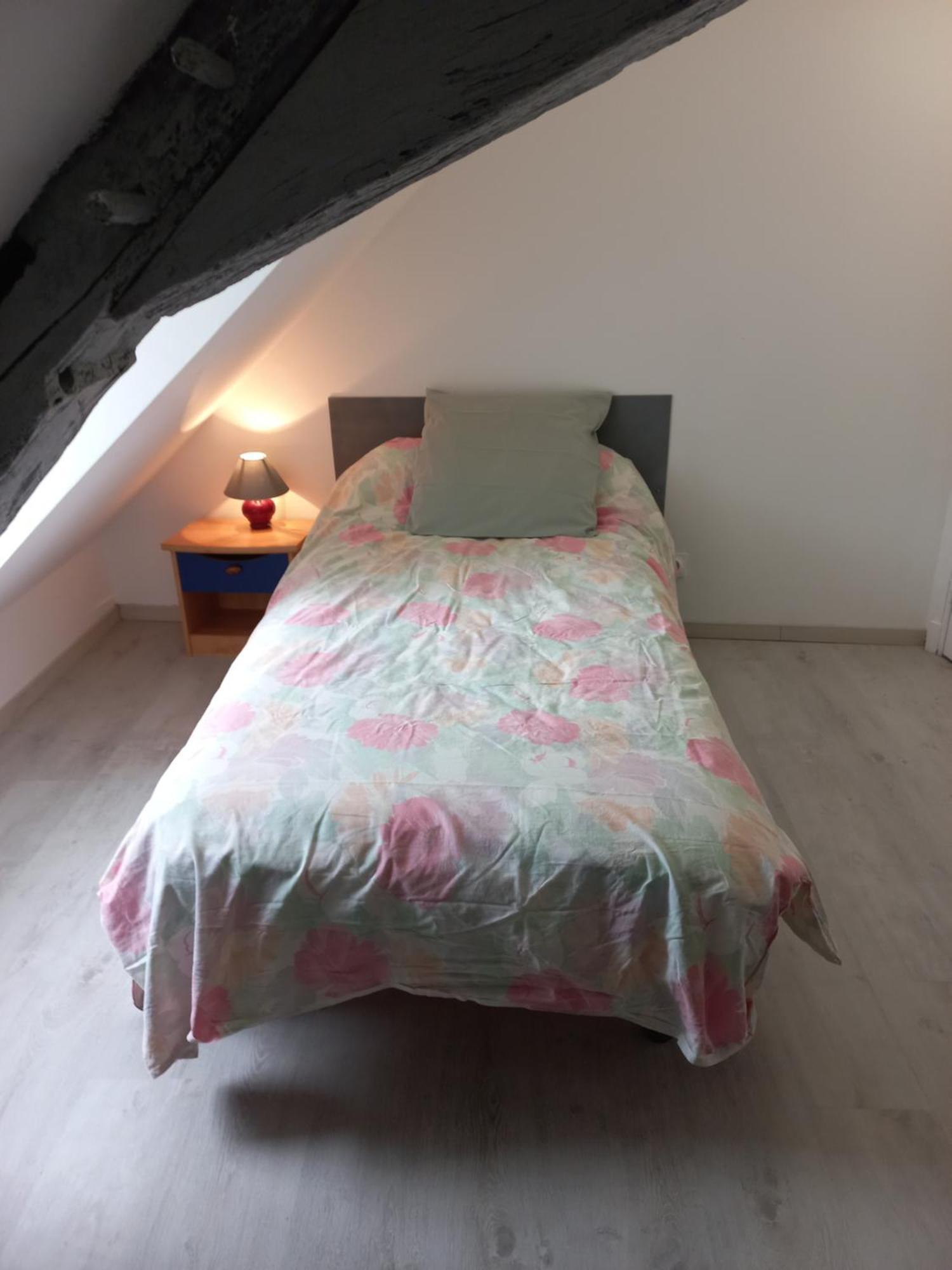 Agreable Maison De Ville Au Coeur De Шинон Екстер'єр фото